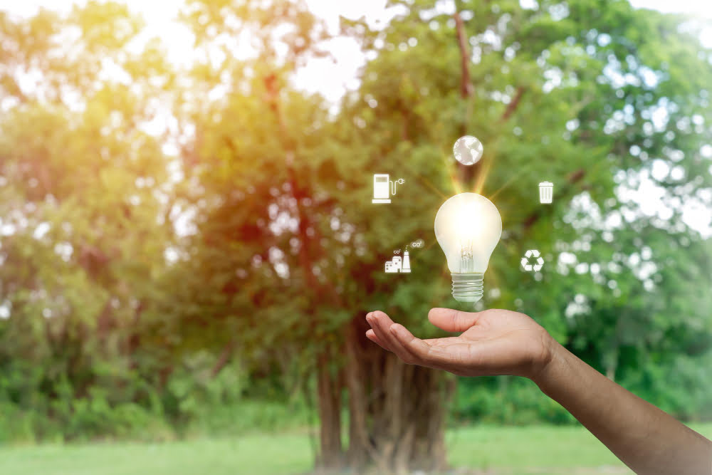 environmental preservation